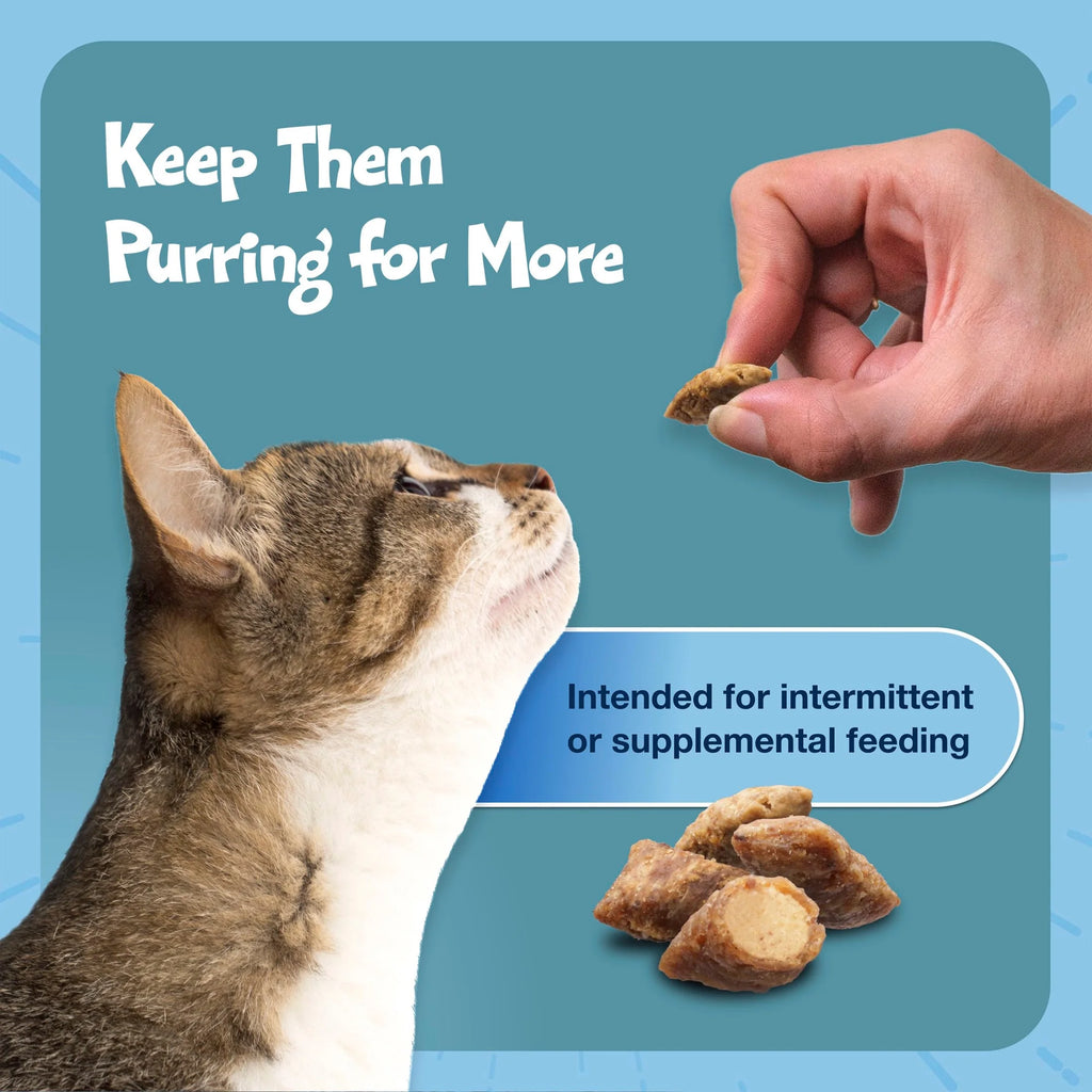 Bursts Crunchy & Creamy Cat Treats, Great for Training, Savory Seafood, 12-Oz Tub